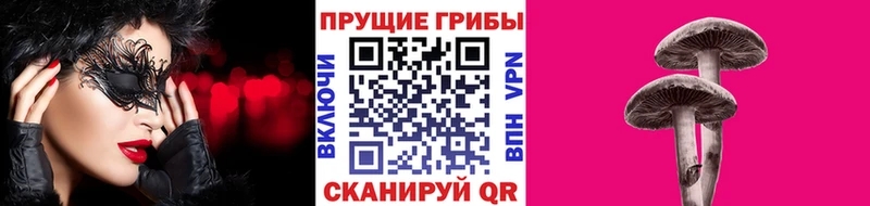 KRAKEN сайт  Сургут  Галлюциногенные грибы Psilocybine cubensis 